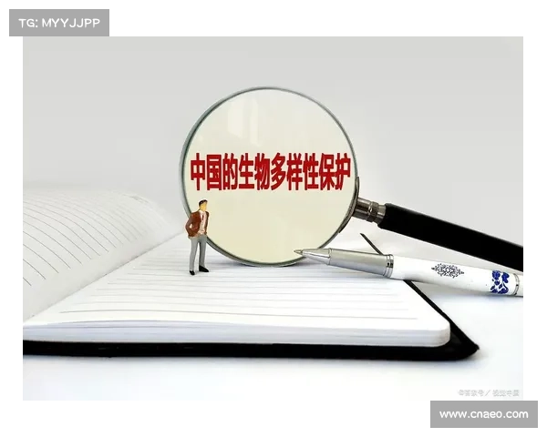 鄂美蝶:生态多样性与保护挑战 鄂美蝶:生态多样性与保护挑战