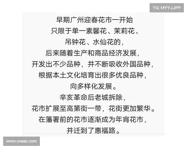黑圣手字谜的历史渊源与解谜技巧探究及其文化影响分析 黑圣手字谜的历史渊源与解谜技巧探究及其文化影响分析
